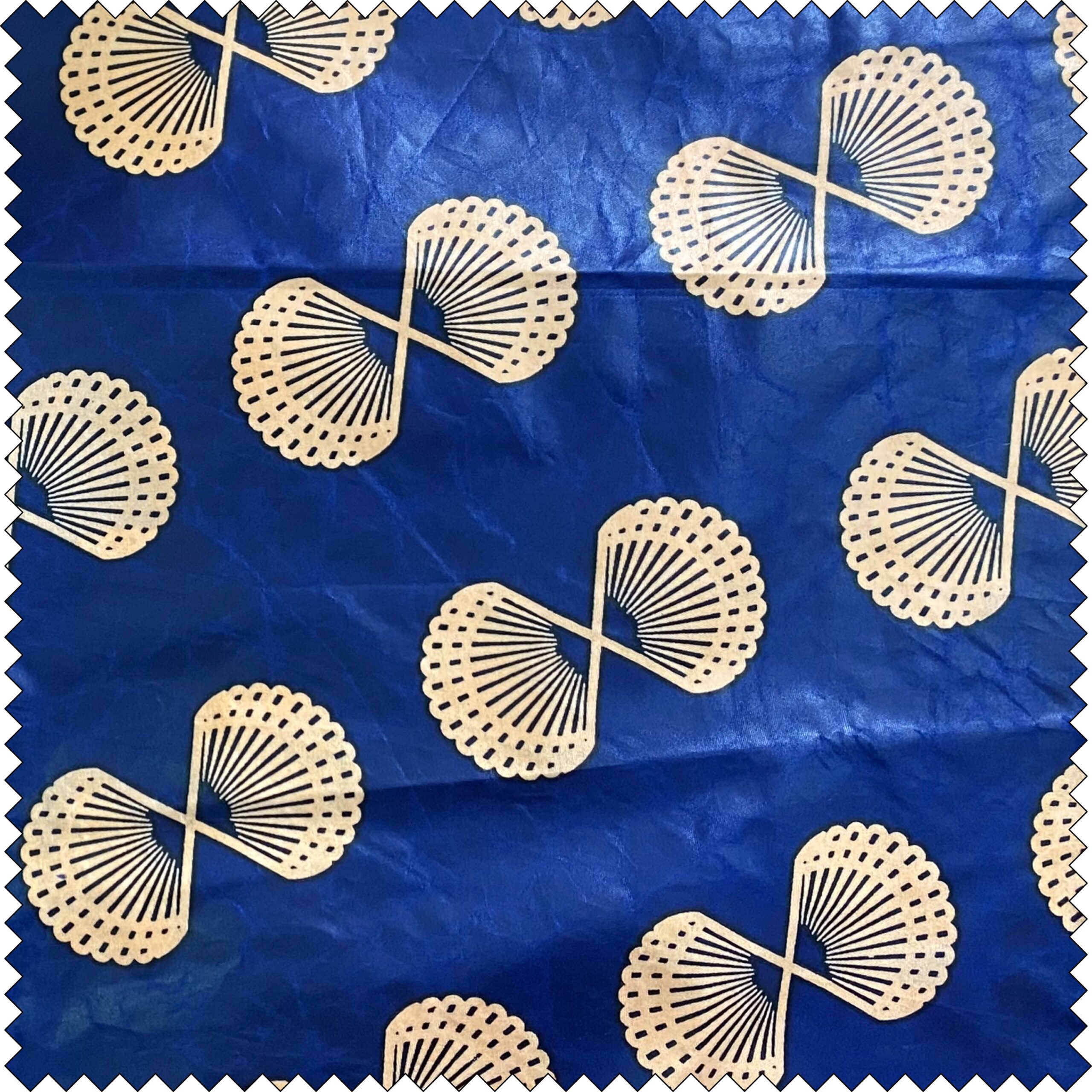 Kenya - shells